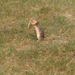 Meet your Posher, Lance